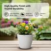 Indoor and Outdoor Round 5 Inch/12.9cm White Flower Planter Pot Best for Terrace/Balcony/Home/Office Décor – Set of 5