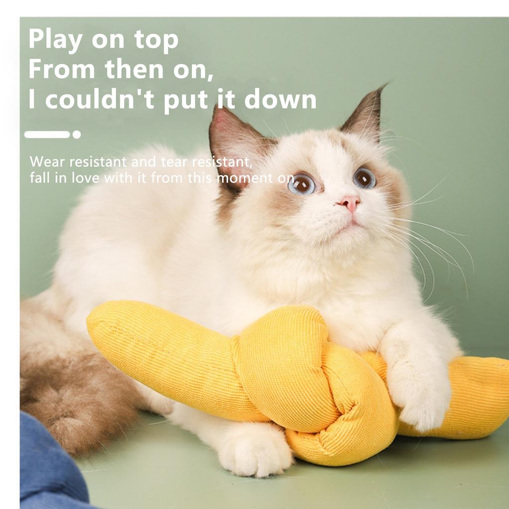 Katzen Süßigkeiten Biss: Multifunktionales Zähneknirsch- und Beruhigungswerkzeug
