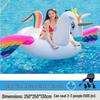 Rainbow Wing Pegasus Inflatable Pool Float