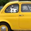 Niedliche Hund-Autoaufkleber im Cartoon-Stil, die Kratzer an E-Bikes und Motorrädern abdecken, wasserdicht und kreativ