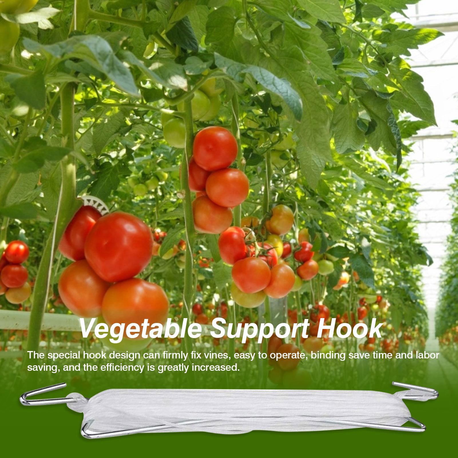 

Tomato Hooks With String 10-Piece Reusable Heavy-Duty Vegetable Hooks Plant Clips With 33ft Twine For Vegetable Plant Flowers CN