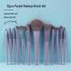 Cai Shi Lan 10/12-Piece 3.0 Three-Color Makeup Brush Set - Soft Bristles for Blush, Powder, and Contour.