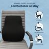 (Black/Grey Lumbar Back Support (Gel Infused) Lumbar Support Pillow for Office Chair for Back Pain, Car Seat, Memory Foam