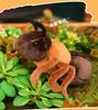 Adorable Sleepy Ant Plush Toy - Soothing Stuffed Animal Doll for Kindergarten