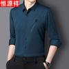 Hengyuanxiang Men's Wrinkle-Free Business Casual Long Sleeve Shirt
