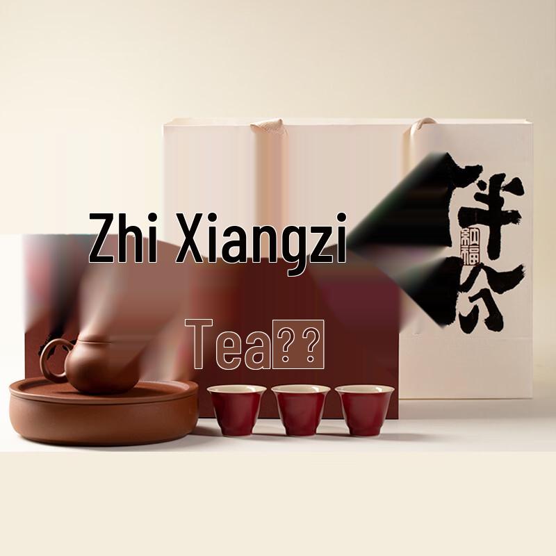 Chinese Zisha Purple Clay Teapot Tea Set