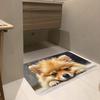 1Pcs Dog Pattern Floor Mat Modern Kitchen polyester Rug Non-Slip Colorful Indoor Carpet, For Home Bathroom Bedroom Living Room Decor