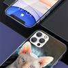 Lavaza Sphynx Sphinx Cat Cover Phone Case For iPhone 16 17 Air 15 14 Pro Max 16E Phone Case 13 Mini 12 11 7 SE 8 Print Pattern F
