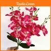 Artificial Phalaenopsis Bloom Collection For Living Room And Decoration Party
