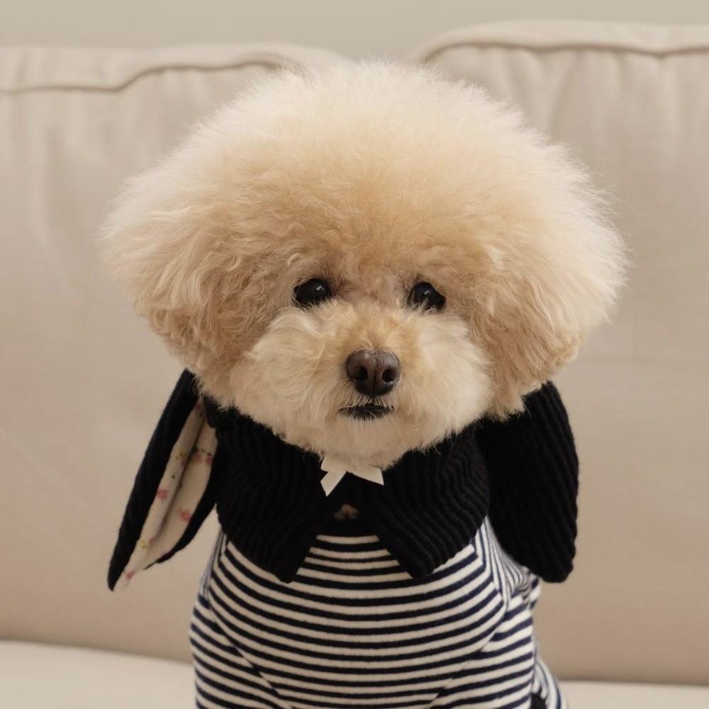 Roztomilá klobouk s ušima pro mazlíčka Měkký elastický s květinovým vzorem Větruodolný kryt pro psa Teplá pohodlná pokrývka hlavy pro mazlíčka Malý střední pes