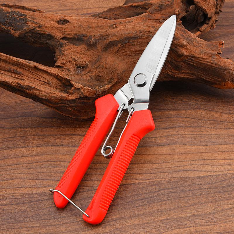 Stainless Steel Garden Pruning Shears - Fruit Picking & Thinning Scissors