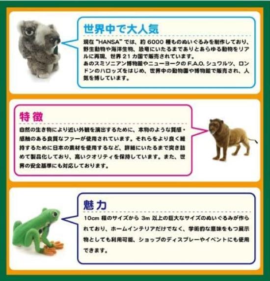 BH6999 HANSA Śnieżny Lampart 70