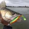 Piombo da Pesca Girella Pesi a Sfera Rotonda con Moschettoni Peso a Proiettile per Acqua Profonda Jig Attrezzatura da Pesca Fai da Te per Acqua Salata e Dolce