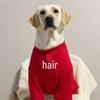 Lunar New Year Outfit for Labradors & Golden Retrievers - Festive Winter Apparel for Medium to Large Dogs
