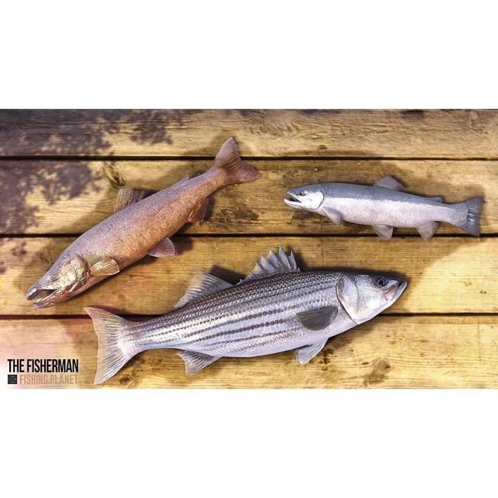 FISHERMAN : Fishing Planet Jeu PS4