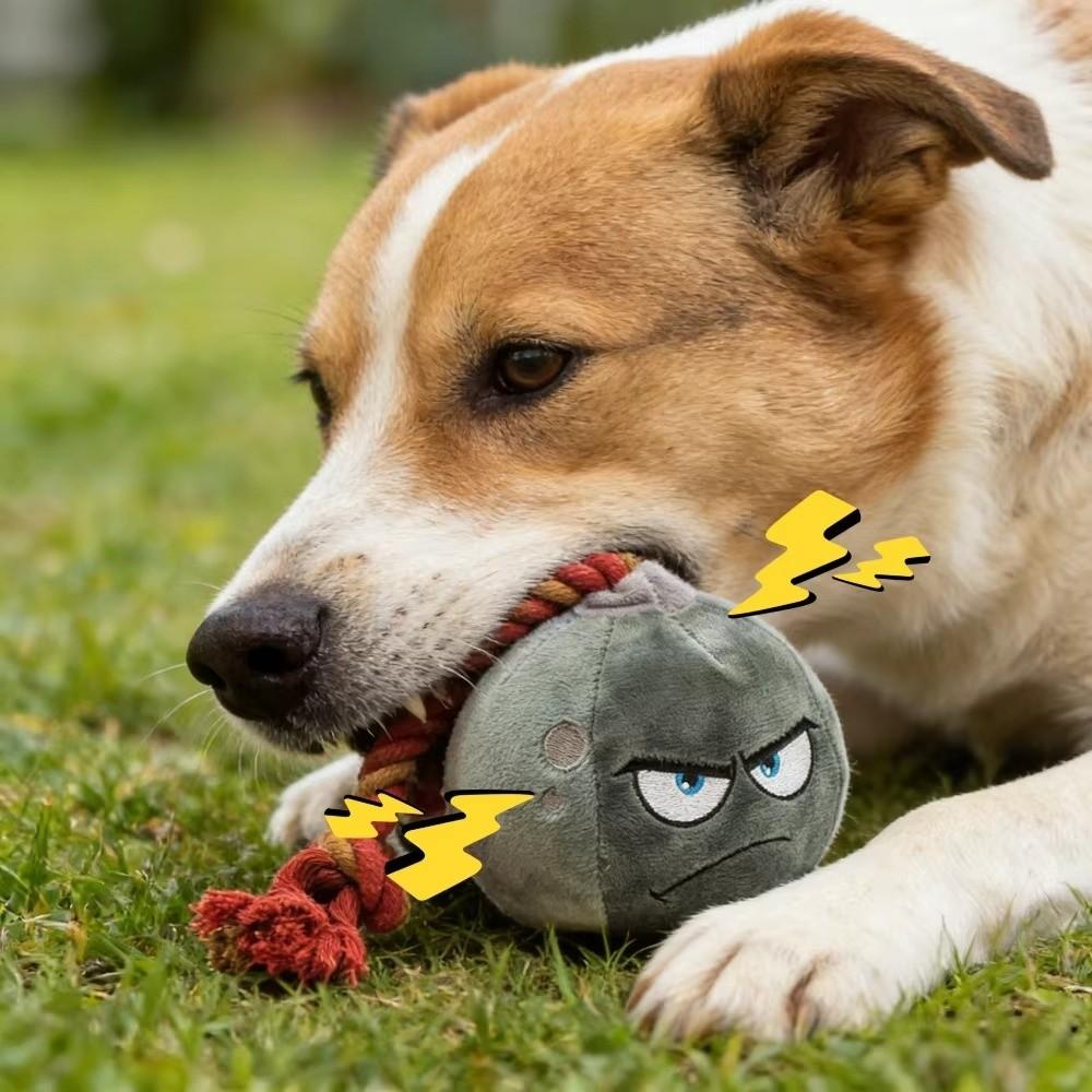 Soft Rope Plush Dog Chew Toy Bite Resistant Pet Toy Ball Squeaky Dog Toy Teething Cleaning