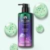 Dr. Groot Microbiome Genesique 7 Shampooing fortifiant pour cuir chevelu Parfum d'agrumes, 400 ml, 1 pièce
