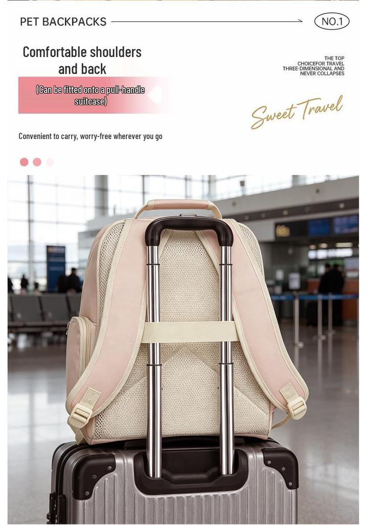 Sweet Style Breathable Summer Pet Carrier Backpack for Cats