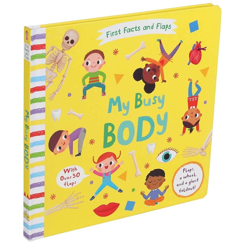 First Facts and Flaps: My Busy Body Lift the Flaps To Learn How the Human