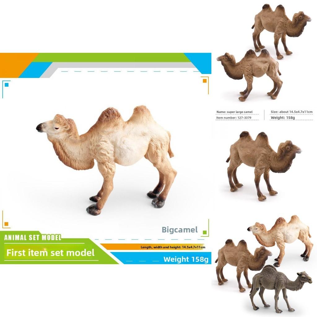 Animal Wildlife Pvc Model Single Hump Camel Decorative Toy For Kids Educational Gift