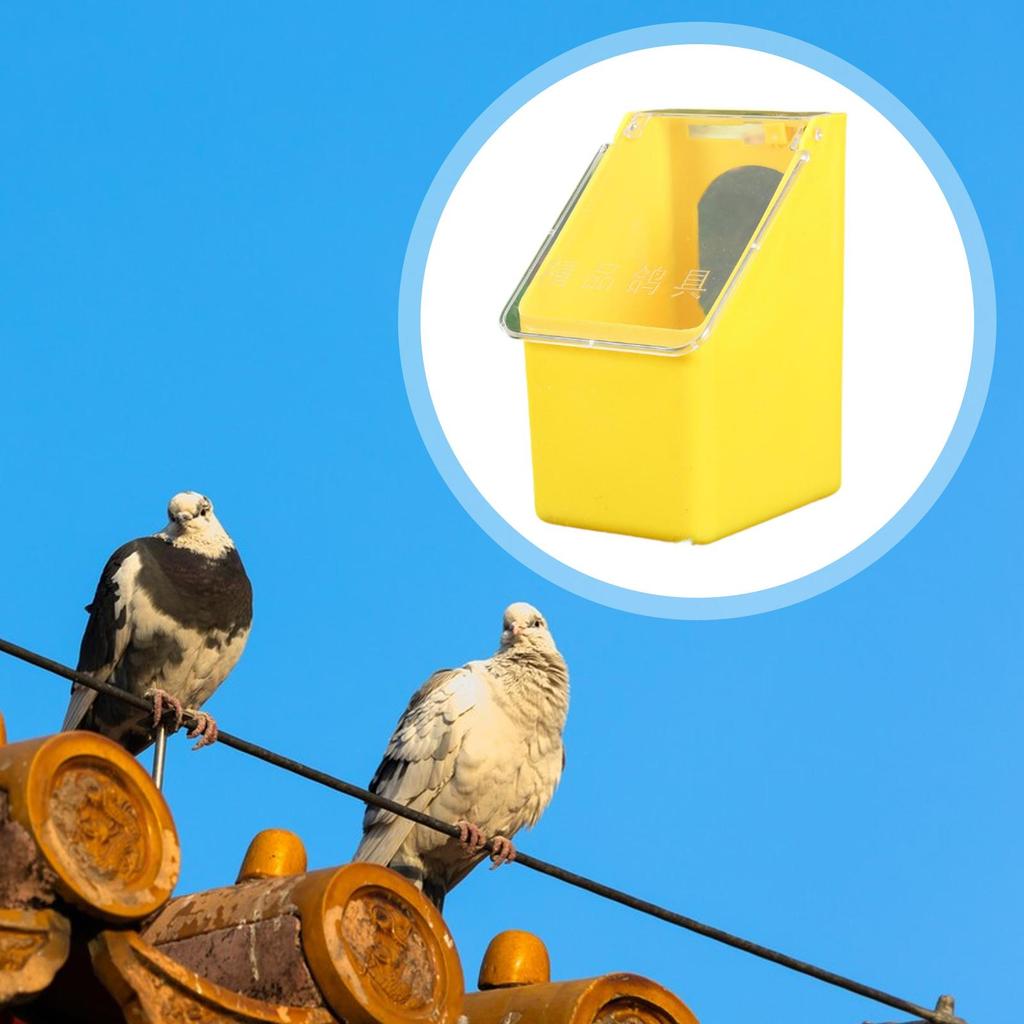 Pigeon Feeder Hanging Box Heavy Duty Waterer Cage Accessory Food Feeder for Cockatiels Budgie Parrots Chickens Pigeons