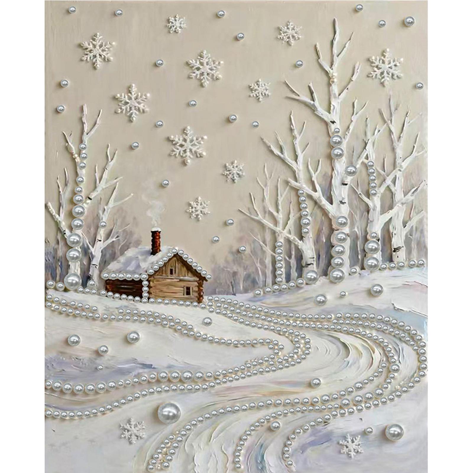 

DIY Pearl Gem Paintings Picture Arts Craft Without Frame 30x40cm for Adults/Beginners Gift Home Decor