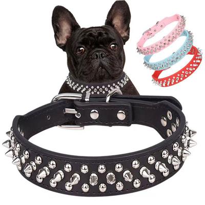 Köpek – Köpek Tasmaları ve Tasma Kayışları