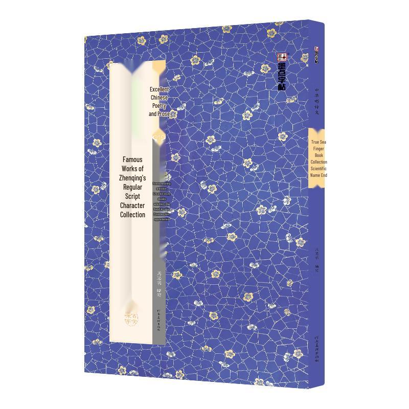Yan Zhenqing Regular Script Calligraphy Copybook: Chinese Poetry & Prose