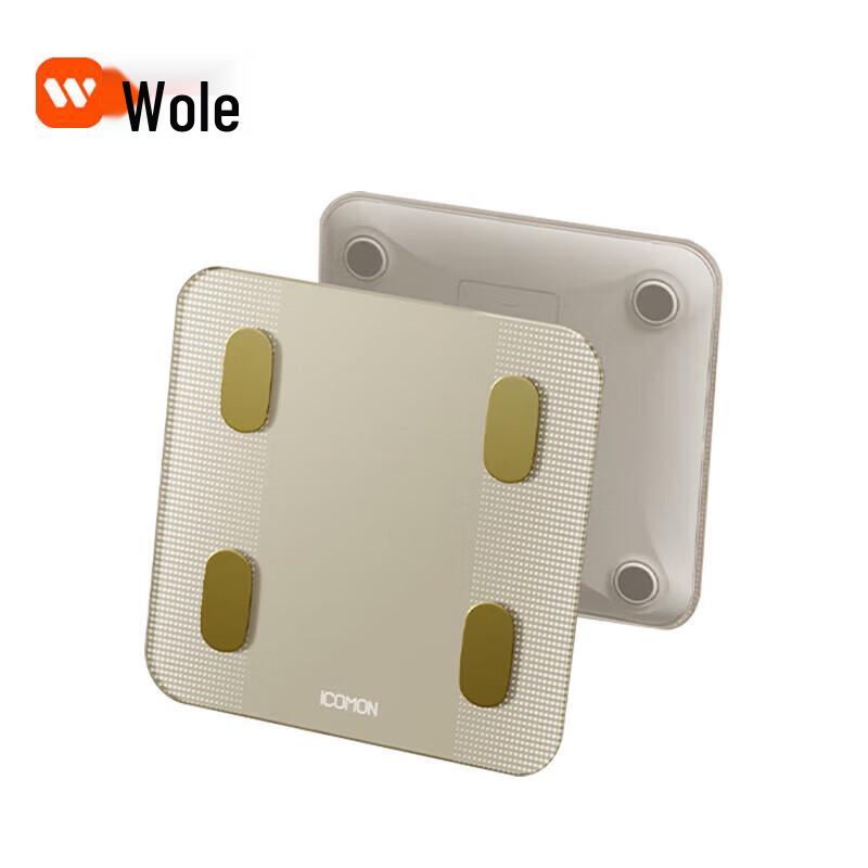 ICOMON Smart Body Fat Scale (CN version)