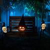 Weatherproof Solar Lights for Outside LED Crow Skull Light, Waterproof Halloween Pathway Gothic Horror Party Gifts Collectors on Skeleton Head