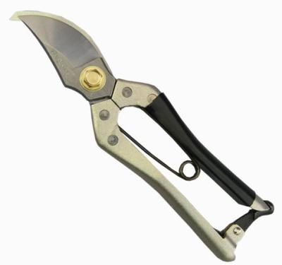 Tsubota Kozo Astschere aus Yasugi-Stahl 200mm Schere, Klinge,
