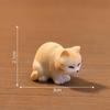 Customizable Miniature Cat Fishbowl Set for Unique Creative Micro Landscape Projects