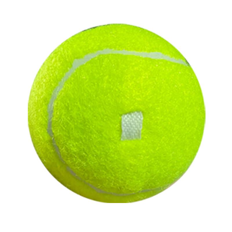 Elastic Rebound Tennis Trainer