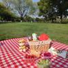 OEING Thickened Outdoor Picnic Mat