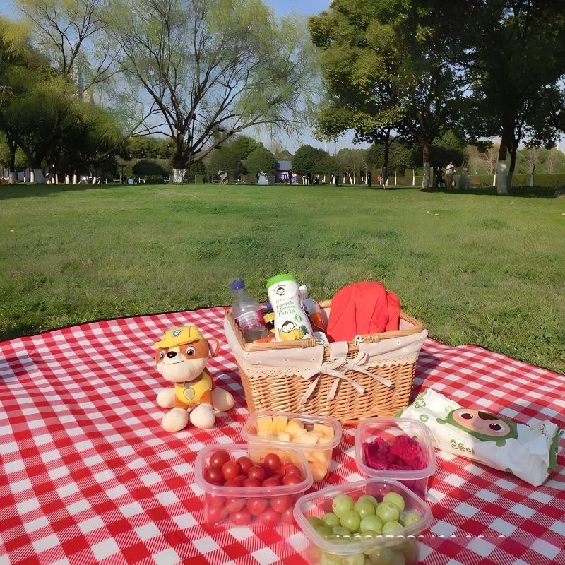 OEING Thickened Outdoor Picnic Mat