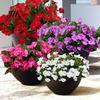 Vervagingbestendig Bloemen Decor Kunstmatige Vlijtige Liesjes voor Buiten UV Nep Zijde Bloemenbos Kleurvast Nepbloemen Lente Zomer Tuin Terras