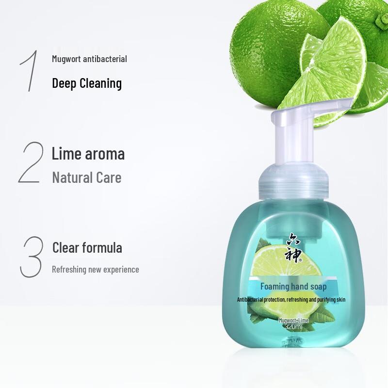 Liushen Antibacterial Foaming Hand Soap (Mugwort & Lime) 2-Pack