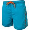 Crowell Men's Diver Swim Shorts