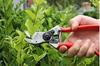FELCO 2 Pruning Shears FELCO