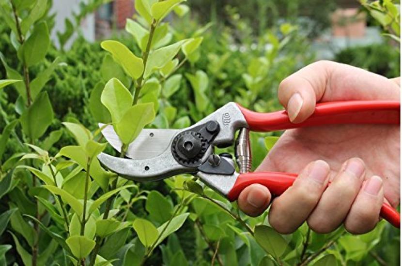 FELCO 2 Pruning Shears FELCO