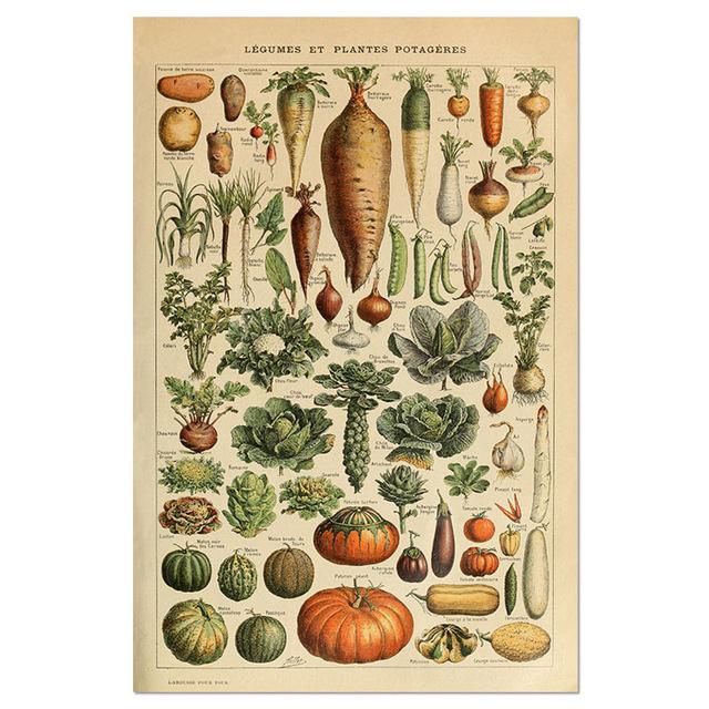 Vintage-Leinwandgemälde mit Gemüse, Früchten, Pilzen, antike Wandkunst, botanische Bilder, wissenschaftliche Poster und Drucke, Heimdekoration