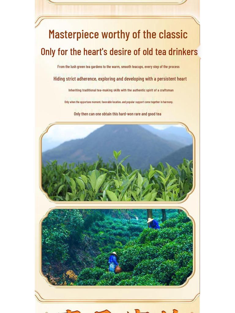 Premium Four Famous Teas Gift Box (500g) - Jin Jun Mei, Xiao Zhong Black Tea, Oolong Tea, Da Hong Pao, Tie Guan Yin