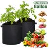 5pcs Garden Plant Grow Bags Felt Planting Bag for Veg Strawberry Potato Seedling Bag Grow Accessories Planting Supplies