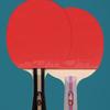 DHS 3-Star Table Tennis Racket