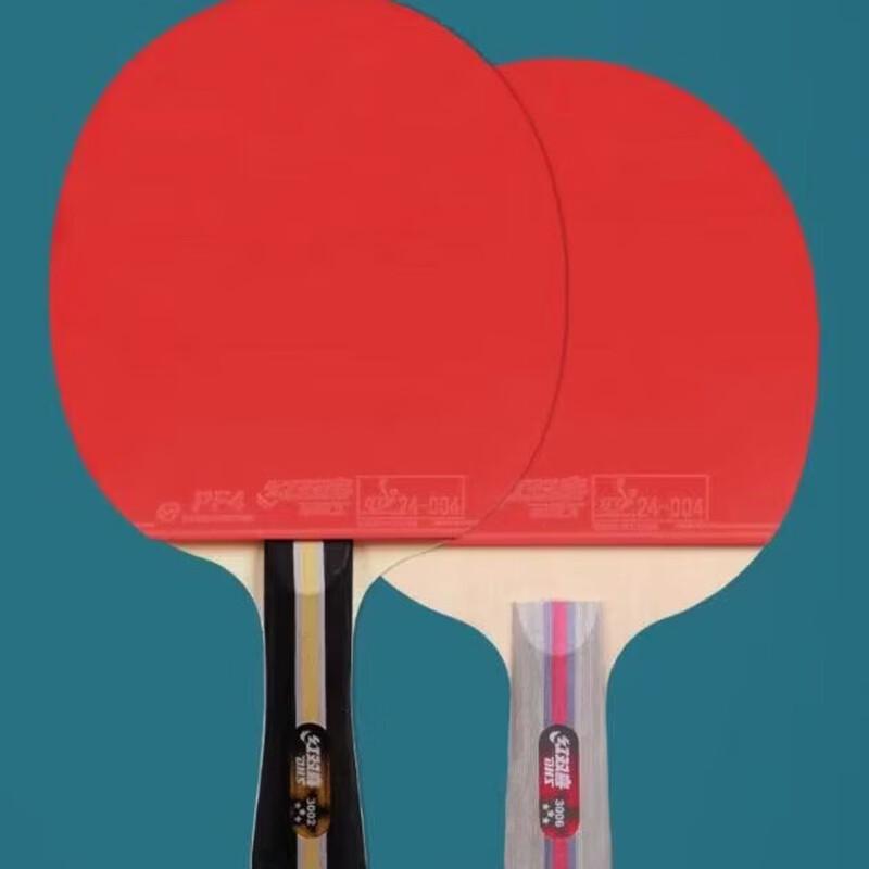 DHS 3-Star Table Tennis Racket