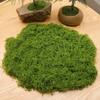 100G Fake Moss Diy Crafts Artificial Moss Faux Green Plants Home Room Garden Decoration Mini Landscape Fake Grass