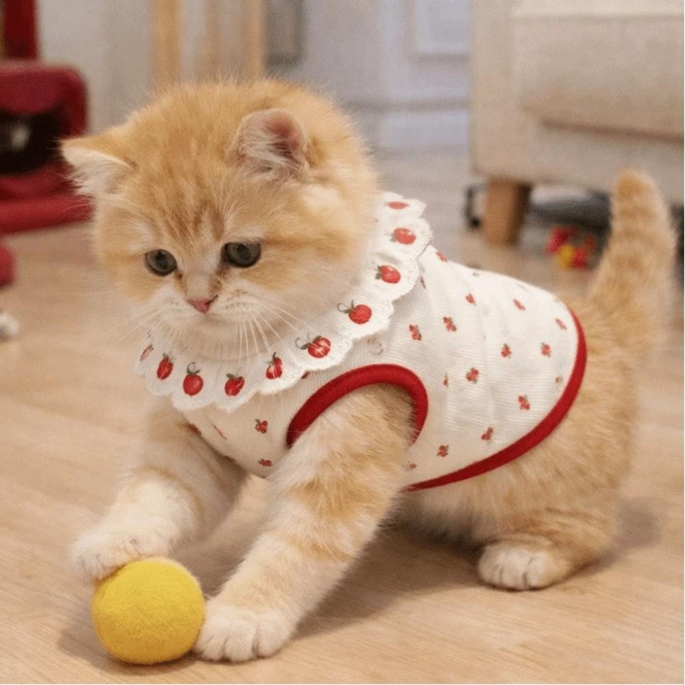 Cherry Pattern Cat Strawberry Vest Ruffled Collar Pet T-shirt Cat Lace Vest  Indoor Wear
