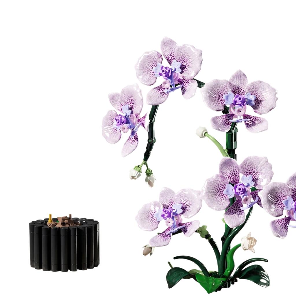 Building Block Toy Creative Design Orchid Flower Model Kit Educational Construction Set Suitable for Boys and Girls Ideal Gift