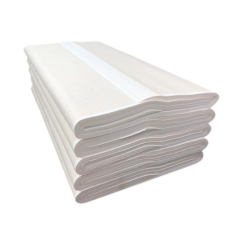 Jiaxuan 4-Foot 12-Jin Double-Layer Thickened Xuan Paper, Peony & Bird Design, 100 Sheets for Chinese Painting.