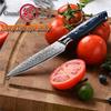5 Inch Utility Knife 67 Layers Japanese Damascus Steel VG10 Kitchen Cooking Tools